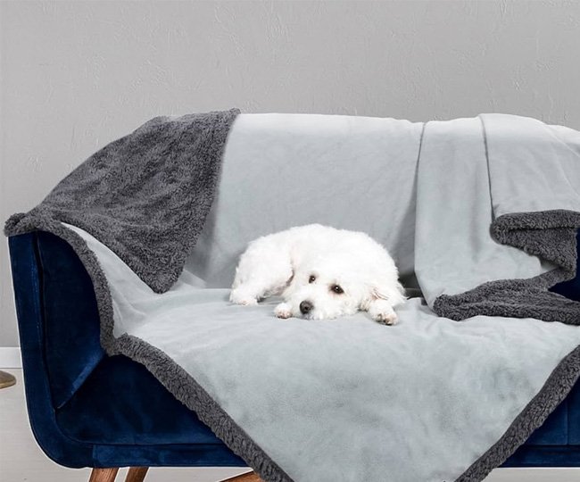 pawhaven Reversible